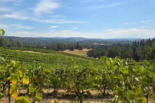4180 Pleasant Valley Rd, Placerville, CA 95667 - Photo 60
