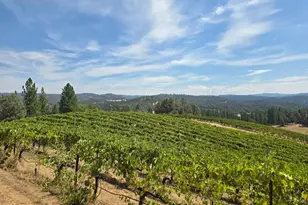 4180 Pleasant Valley Rd, Placerville, CA 95667 - Photo 58