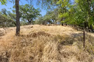 14591 E School St, Amador City, CA 95601 - Photo 28