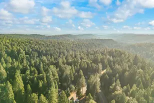 3533 Gold Ridge Trail, Pollock Pines, CA 95726 - Photo 6