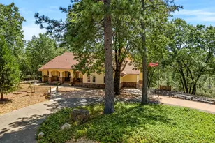 4928 Escondito Ct, Camino, CA 95709 - Photo 6