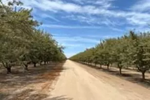 11611 S Union Rd, Manteca, CA 95336 - Photo 1