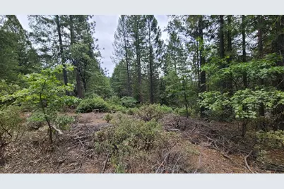 2678 Christmas Tree Lane, Georgetown, CA 95634 - Photo 22