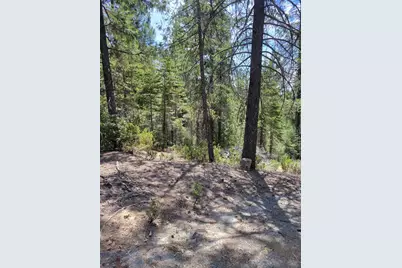 2678 Christmas Tree Lane, Georgetown, CA 95634 - Photo 14
