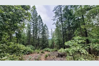 2678 Christmas Tree Lane, Georgetown, CA 95634 - Photo 20
