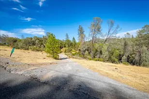 4751 Meadowview Acres Rd, Cool, CA 95614 - Photo 50