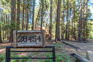 28454 Rolling Hills Rd, Pioneer, CA 95666 - Photo 4