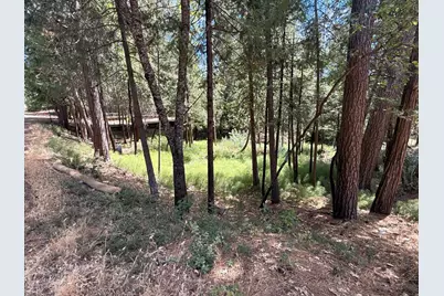 558 Roan Way, Avery, CA 95224 - Photo 1