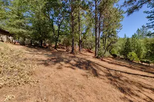 5540 Pine Ridge Rd, Foresthill, CA 95631 - Photo 18