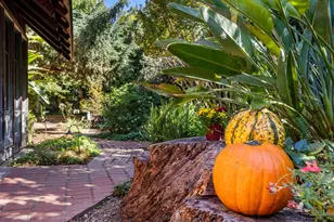 601 Shangri Ln, Sacramento, CA 95825 - Photo 10