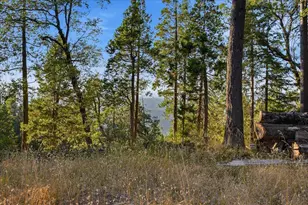 18274 Royal Plum Way, Nevada City, CA 95959 - Photo 36