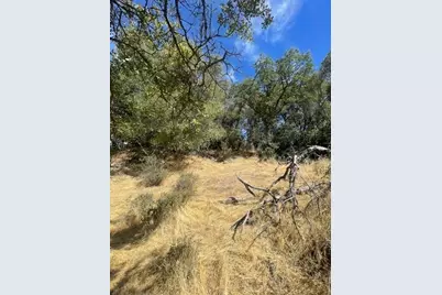 4748 Pine Tree Court, Pilot Hill, CA 95664 - Photo 20