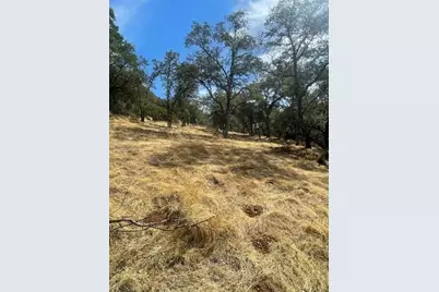 4748 Pine Tree Court, Pilot Hill, CA 95664 - Photo 8