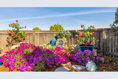 2810 Springfield Drive, Rocklin, CA 95765 - Photo 48