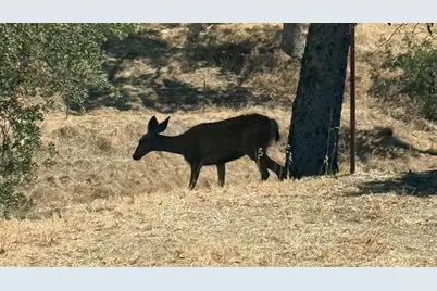 Camanche Road #92, Ione, CA 95640 - Photo 32