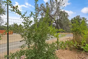 3671 Coon Hollow Rd, Placerville, CA 95667 - Photo 54