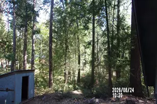 16686 Pasquale Rd, Nevada City, CA 95959 - Photo 8