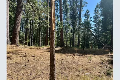 2659 Valley View Drive, Arnold, CA 95223 - Photo 2