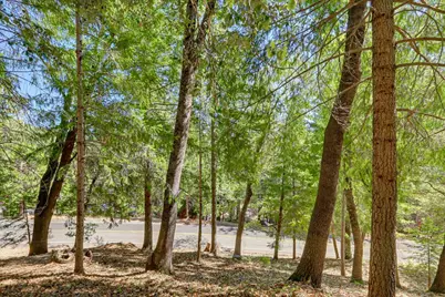 12277 Pawnee Trail, Nevada City, CA 95959 - Photo 34