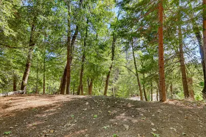 12277 Pawnee Trail, Nevada City, CA 95959 - Photo 38