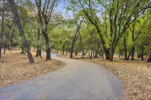 19372 Buck Ridge Rd, Grass Valley, CA 95949 - Photo 56
