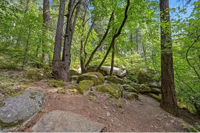 10433 Park Avenue Ext, Nevada City, CA 95959 - Photo 70