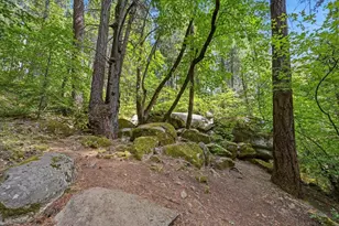 10433 Park Ave Ext, Nevada City, CA 95959 - Photo 70