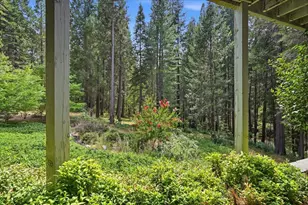 10433 Park Ave Ext, Nevada City, CA 95959 - Photo 56