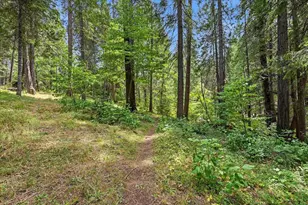 10433 Park Ave Ext, Nevada City, CA 95959 - Photo 62