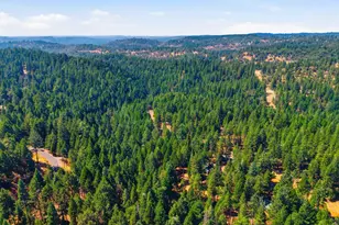 5299 Sierra Springs Dr, Pollock Pines, CA 95726 - Photo 46