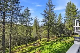 1946 Blue Bell Ct, Cool, CA 95614 - Photo 40