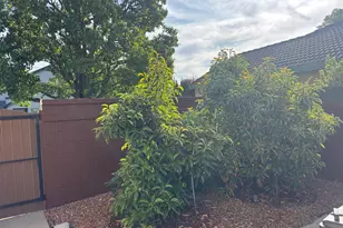 3240 Shelter Cove Ln, Elk Grove, CA 95758 - Photo 66
