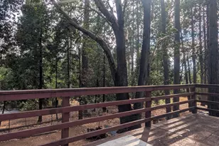 Prospect Pl, Pioneer, CA 95666 - Photo 6