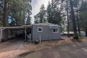 Prospect Pl, Pioneer, CA 95666 - Photo 42