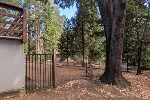 Prospect Pl, Pioneer, CA 95666 - Photo 50