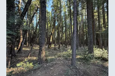 0 Chalk Bluff, Nevada City, CA 95959 - Photo 1