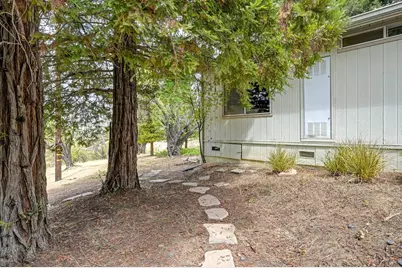 24501 County Road 22A, Esparto, CA 95627 - Photo 48