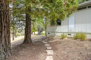24501 Co Rd 22A, Esparto, CA 95627 - Photo 48