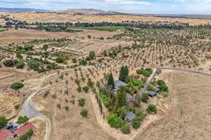 24501 Co Rd 22A, Esparto, CA 95627 - Photo 60