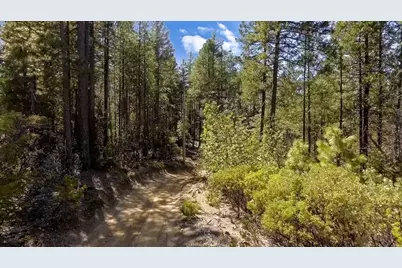 40 Ringtail Road, Georgetown, CA 95634 - Photo 24