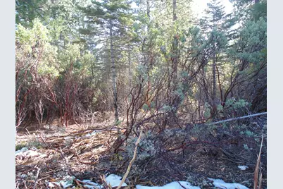 40 Ringtail Road, Georgetown, CA 95634 - Photo 8