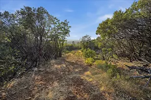 16875 Wolf Mountain Rd, Grass Valley, CA 95949 - Photo 48