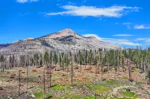 7110 Sierra Pines Rd, Twin Bridges, CA 95735 - Photo 8