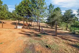 4040 Mt Rushnomore Rd, Greenwood, CA 95635 - Photo 76