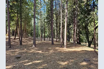 10680 Success Cross Road, Nevada City, CA 95959 - Photo 2