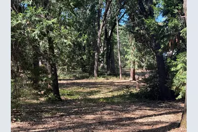 714 Woodland Way, Grass Valley, CA 95945 - Photo 44