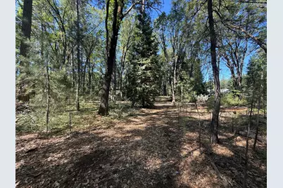 714 Woodland Way, Grass Valley, CA 95945 - Photo 40