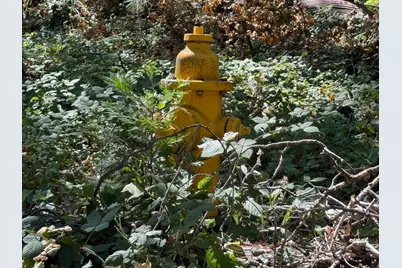 714 Woodland Way, Grass Valley, CA 95945 - Photo 50