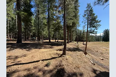 19869 Gaston Road, Nevada City, CA 95959 - Photo 8