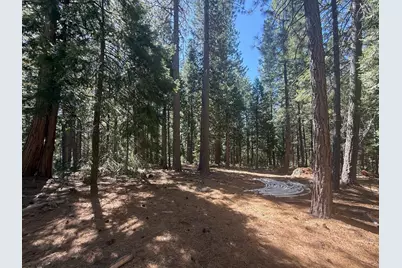 19869 Gaston Road, Nevada City, CA 95959 - Photo 22